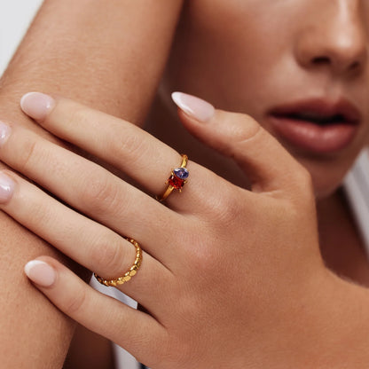 Duo Geboortesteen Ring